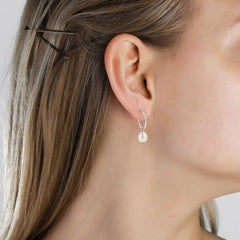 Pilgrim Silver Plated Hoops