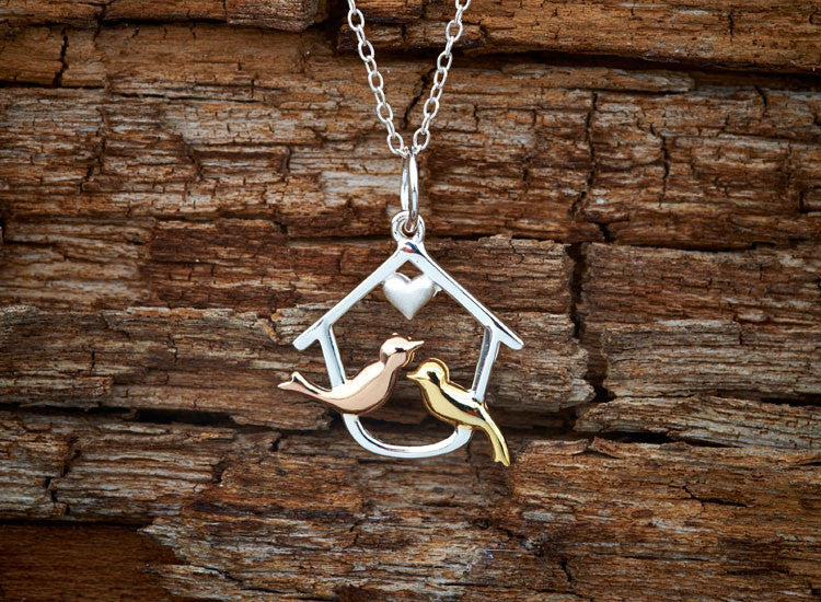 Love Birds, Love House