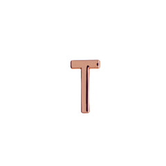 Buckle Up Rose Gold T Charm